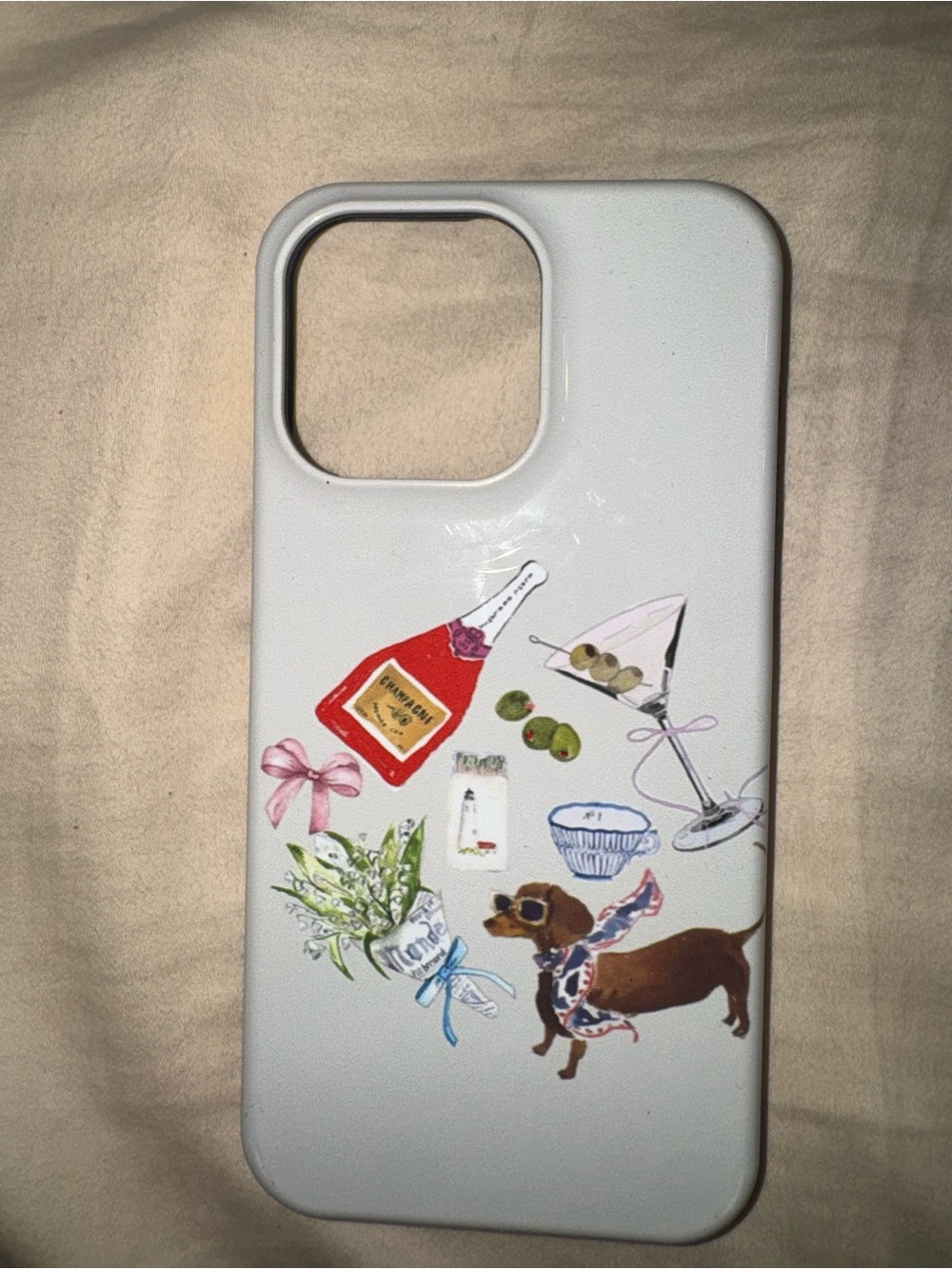 iPhone 15 Pro Max Case